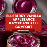 Blueberry Vanilla Applesauce Recipe