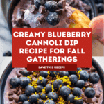 Fresh Blueberry Cannoli Dip Recipe