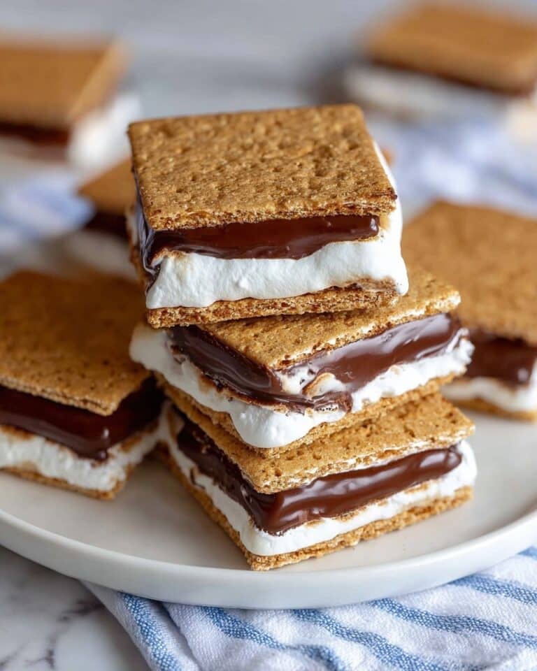 S’mores Ice Cream Sandwiches Recipe